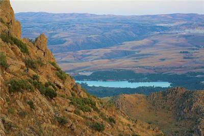 手机 品牌 苹果手机售卖